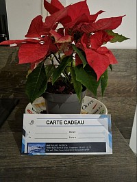 Carte cadeau